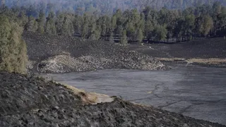 Kawasan Savana Pengol Bromo Terbakar, Tim Gabungan Dikerahkan Lakukan Penanganan