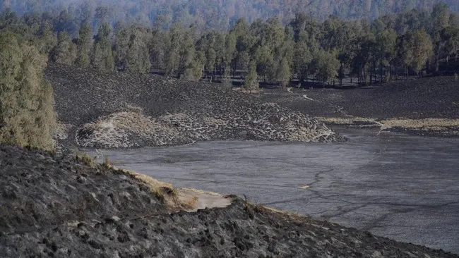Kawasan Savana Pengol Bromo Terbakar, Tim Gabungan Dikerahkan Lakukan Penanganan