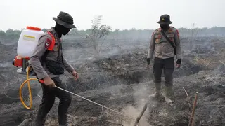 Pelaku Karhutla di Inhil Ditangkap Polisi, Ngaku Niat Usir Tawon
