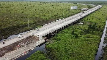 Minat Investor China dan Rusia pada Proyek Kereta Trans Kalimantan dan Sumatera