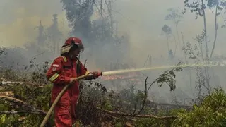 Banyak Penerbangan Dibatalkan Imbas Karhutla Kalimantan, Ditjen Hubud Perketat Pemantauan Operasional