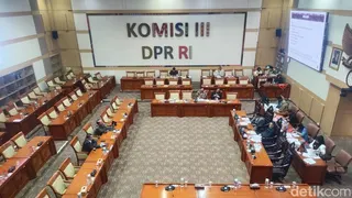 Pakar di Rapat RUU Perampasan Aset, Kalau Harimau-Gajah Jadi Aset Gimana?