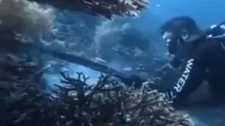 WN China Diamankan di Bandara Makassar Usai Diduga Buru dan Santap Penyu di Raja Ampat