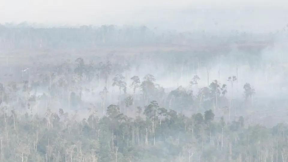 Kabut Asap Mengancam Bandara Kalimantan Selatan, BNPB Prioritaskan Penanganan Lahan 8.900 Hektar