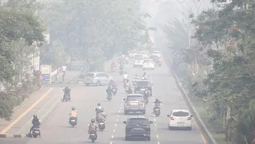 Cara Menyesuaikan Kegiatan Belajar di Sekolah Palangka Raya Saat Terdampak Kabut Asap