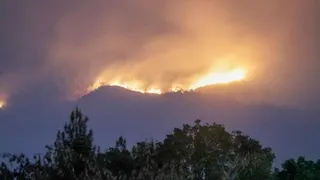 Kebakaran Gunung Arjuno-Welirang Capai 146 Hektare, Langkah Memeriksa Jalur dan Situasi Lapangan