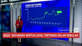 Dampak Gelombang Panas China dan Ketegangan Timur Tengah Terhadap Harga Energi Global