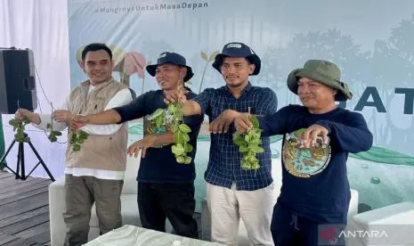 Pemulihan Produktivitas Tambak Desa Sepatin Melalui Rehabilitasi Mangrove