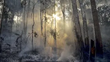 Forkopimda Riau Pantau 123 Hotspot Karhutla via Udara Berdasarkan Dashboard Lancang Kuning