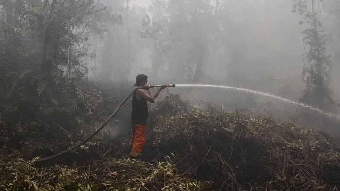 Masa Tanggap Darurat Karhutla di Kapuas Diperpanjang hingga 29 September