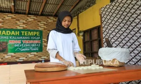 Cara BRI Peduli Berdayakan UMKM Desa BRILiaN Hargobinangun Melalui Pendampingan Usaha