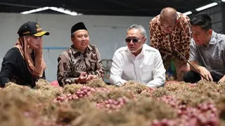 Ekspor Bawang Merah ke Thailand, Zulhas, Kebutuhan Dalam Negeri Terpenuhi