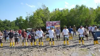 Rehabilitasi Ekosistem Mangrove di Desa Baadale Rote Ndao