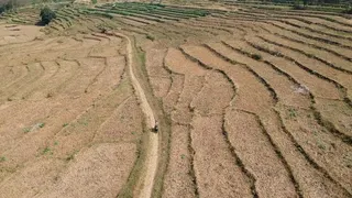 24 Kabupaten/Kota di Jawa Timur Berstatus Darurat Kekeringan