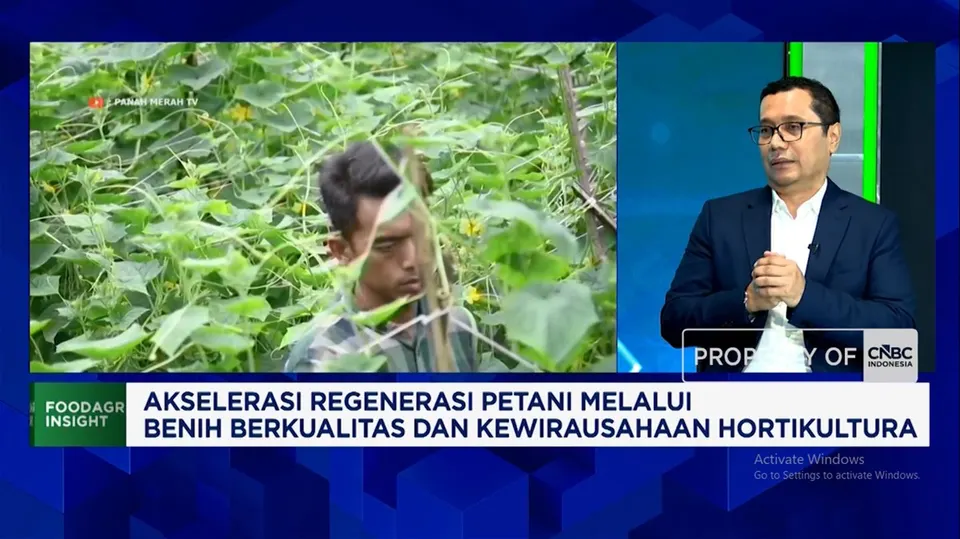 Cara Meningkatkan Produksi Sayuran dengan Benih Tahan Hama dan Cuaca Ekstrem