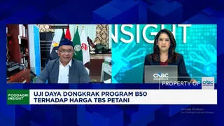 Dampak Kebijakan Biodiesel B50 Terhadap Pendapatan Petani Kelapa Sawit