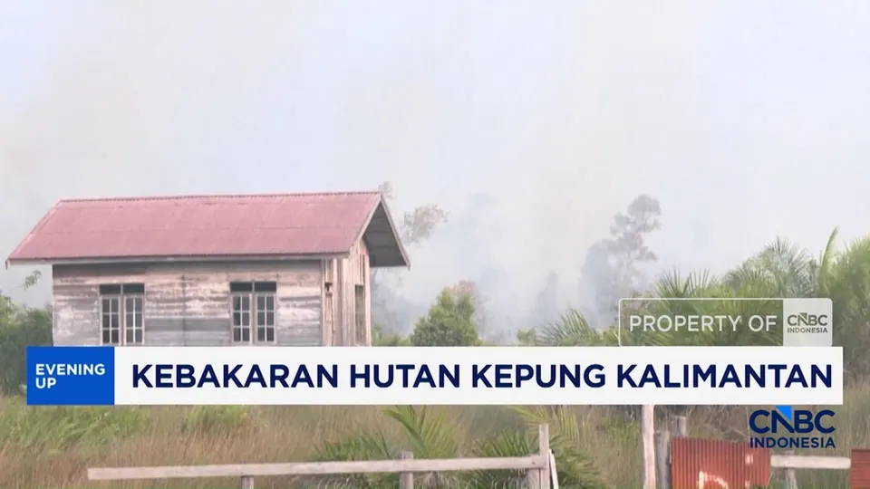 Pantauan Kebakaran Hutan di Kalimantan Melalui Aplikasi Google Maps