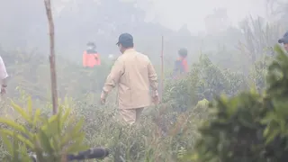 Tegas! Prabowo Ancam Cabut Izin Perusahaan Penyebab Kebakaran Hutan
