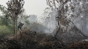 Penanganan Karhutla di Enam Provinsi, BNPB Catat 8.900 Hektare Lahan Terbakar di Kalimantan Selatan dan Siagakan Satgas Udara