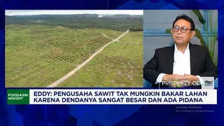 Kemarau Panjang Akibat El Nino Godzilla Hambat Distribusi CPO dan Pembelian TBS Petani