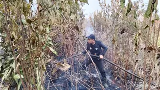 Pemantauan Data Satelit dan Mitigasi Kebakaran Hutan di Kalimantan