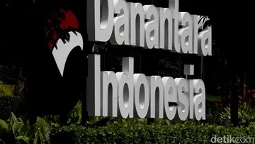 Platform Ekspor PT DSI Diluncurkan 1 September, Mekanisme dan Fungsinya
