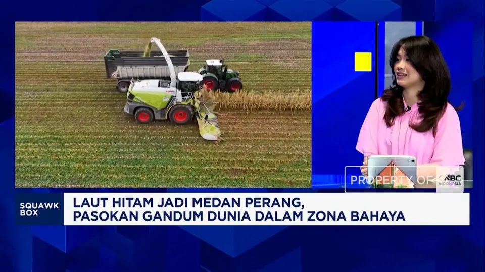Pasokan Gandum Murah Terganggu Perang, Apakah Harga Mie Bakal Naik?