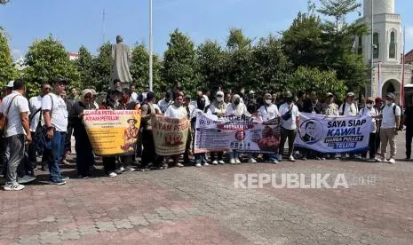 Dampak Kenaikan Harga Pakan dan Program MBG terhadap Pendapatan Peternak Unggas di Jawa Tengah