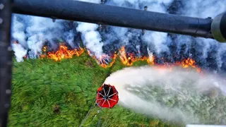 Manajemen Krisis dan Mitigasi Bencana Kebakaran Hutan Terbesar di Belgia
