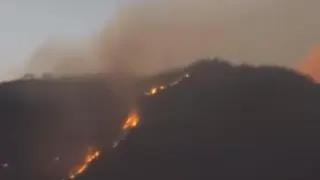 Cagar Alam Merapi Ungup-ungup Ijen Kebakaran, Api Meluas hingga Terlihat dari Permukiman