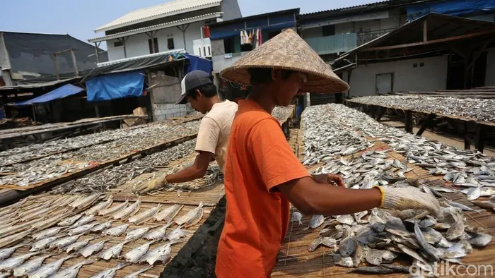 Puncak Kemarau, Pengrajin Ikan Asin di Muara Angke Raup Keuntungan