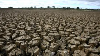 Empat Wilayah Kabupaten di Bali Terdampak Kekeringan Ekstrem